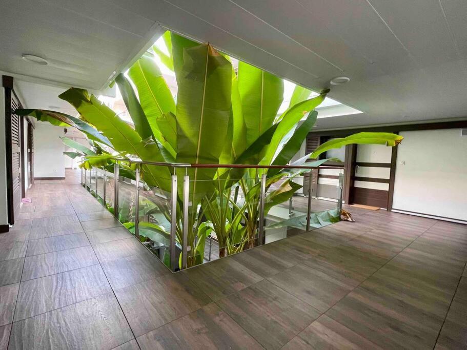 Superbe Appartement, Piscine, Vue Mer Et Montagnes Antibes Ngoại thất bức ảnh