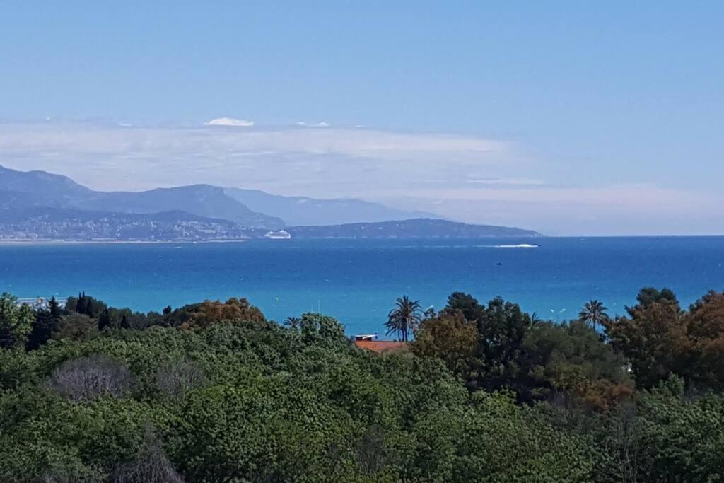 Superbe Appartement, Piscine, Vue Mer Et Montagnes Antibes Ngoại thất bức ảnh